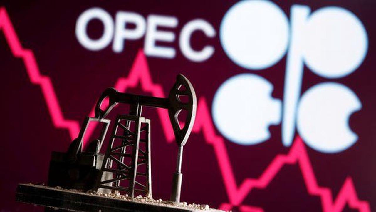 OPEC sticks to 2021, 2022 oil demand forecasts despite COVID-19 challenges  - Opera News