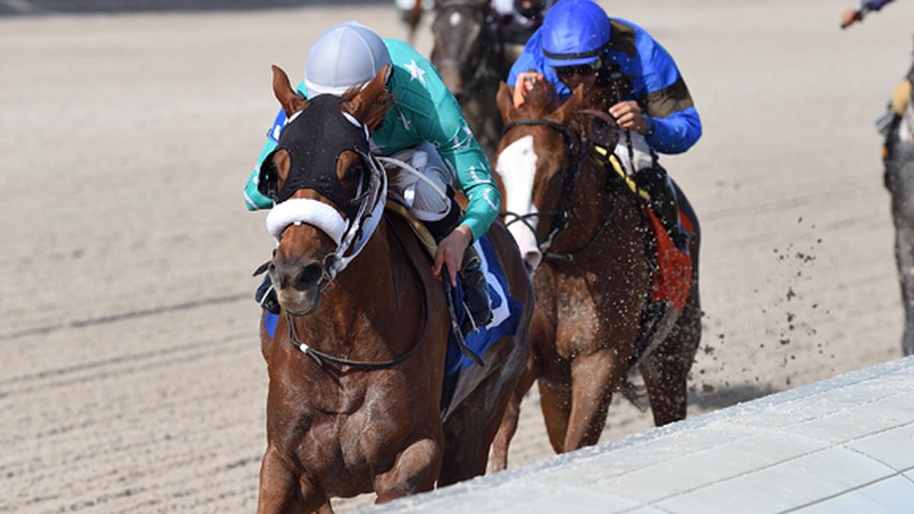 gulfstream park horse racing picks for saturday 1 30 20 opera news