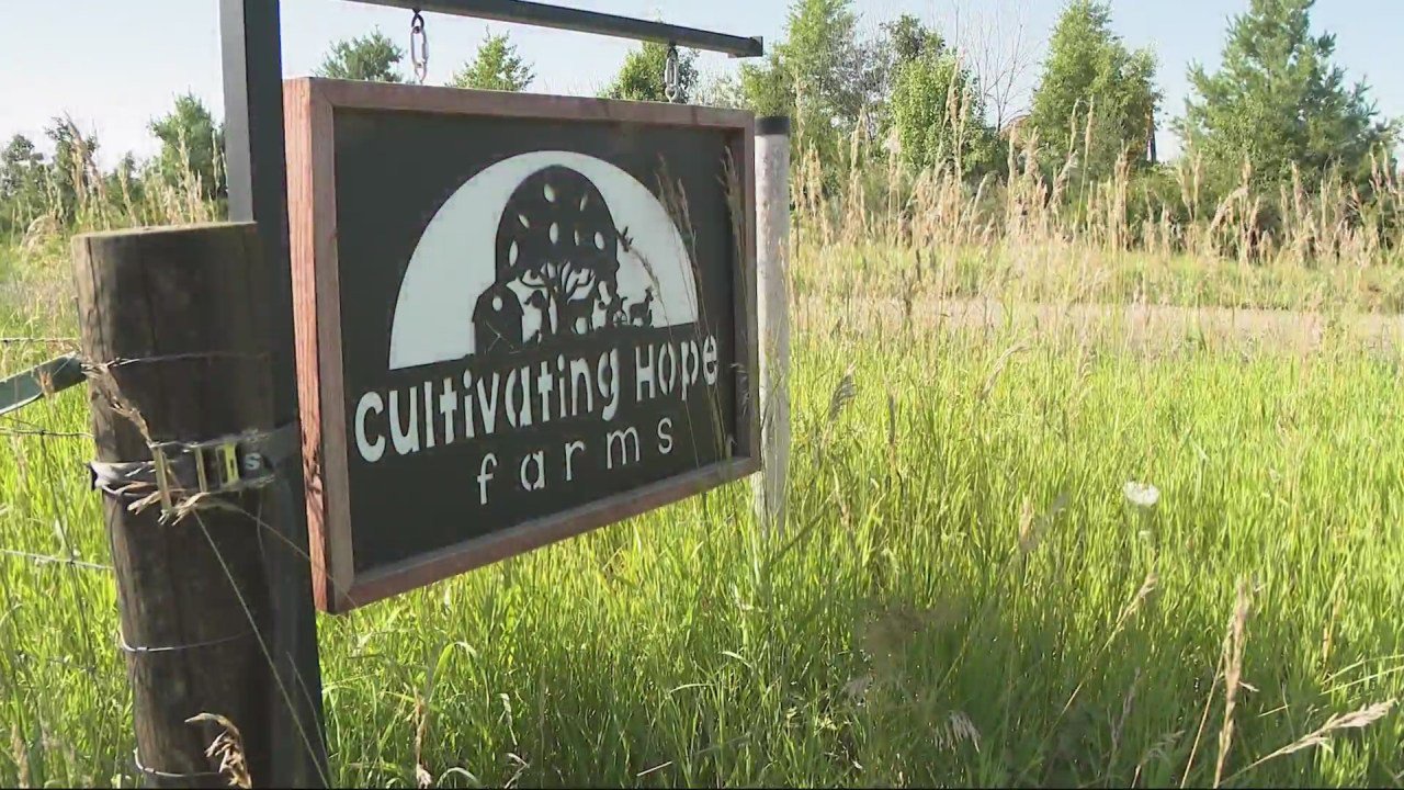 How Iowa's first care farm is helping people with disabilities