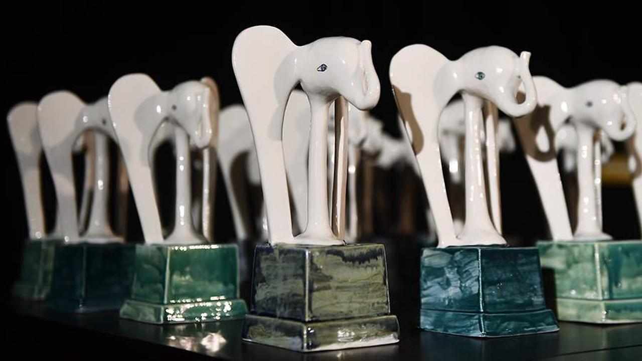 Опубликованы номинанты кинопремии «Белый слон» по итогам 2021 года