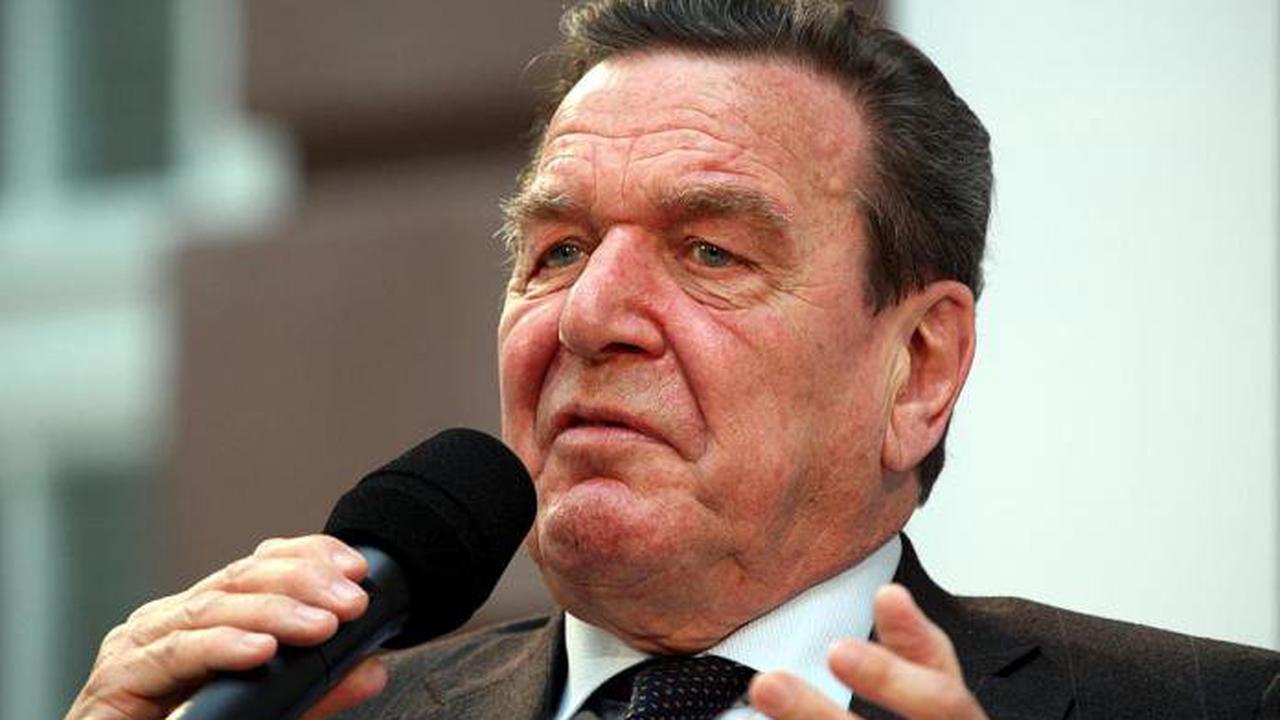 Schröder will nicht mehr Aufsichtsrat bei Gazprom werden