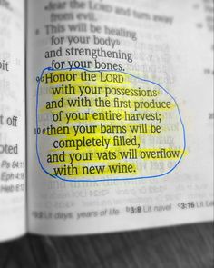 Bible Verses On Fake Friends What The Bible Says About Fake Friends & Gossip - Opera News