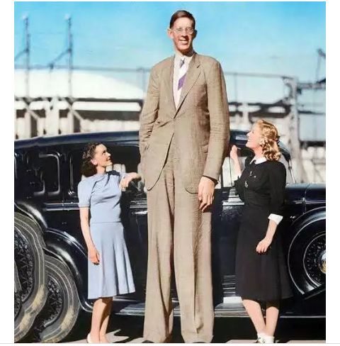 Did You Know That The Tallest Person Ever Died At The Age Of 22