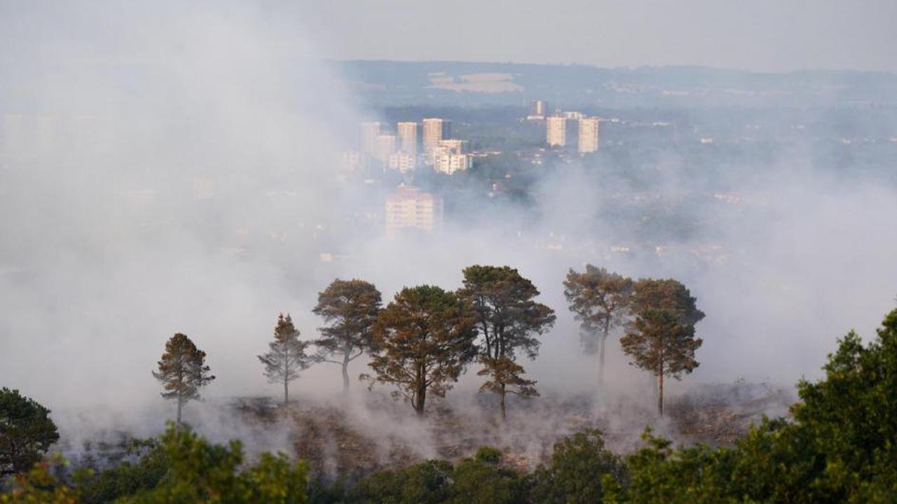 Parts of England and Wales face ‘exceptional’ wildfire risk amid heatwave