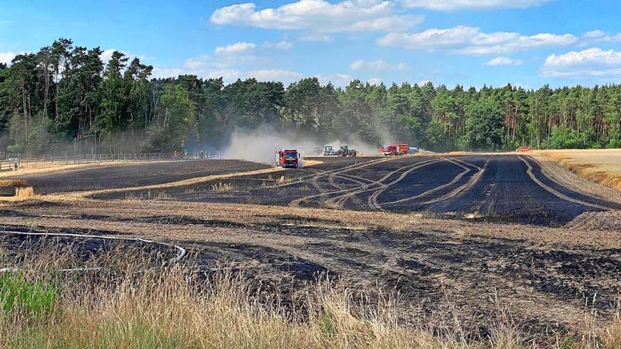 Kostenpflichtig﻿Stoppelfeld brennt bei Brelingen: Feuerwehr und Landwirte verhindern Übergreifen der Flammen auf Wald