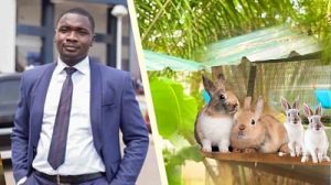 Chartered Accountant during the week and a Rabbit Farmer on weekends - Ghanaian accountant shares motivational story