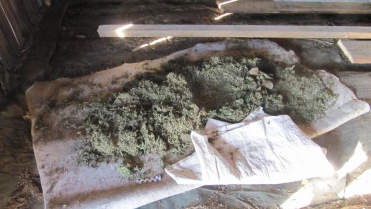Житель Томской области хранил у себя более 2 кг наркотиков