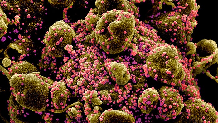 Why must Africans reject the vaccine when they cannot produce one?