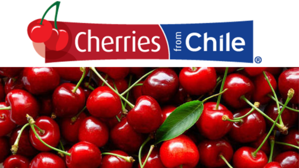 Chilean cherries projected for record season - Opera News