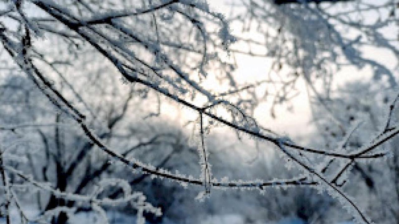 Ниже -20 и небольшой снег. О погоде в Алтайском крае 25 января