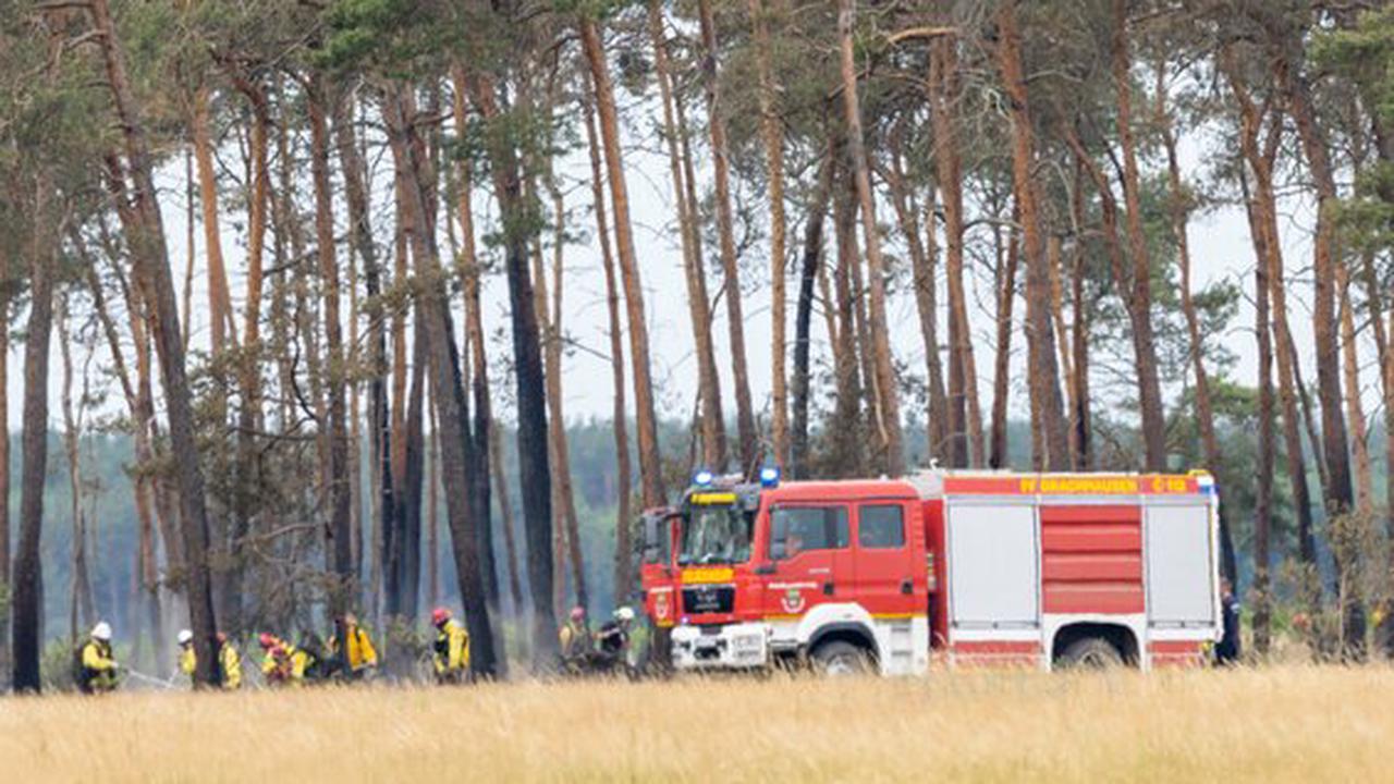 „Die Lage spitzt sich zu“ : Waldbrand in der Lieberoser Heide auf 50 Hektar ausgeweitet