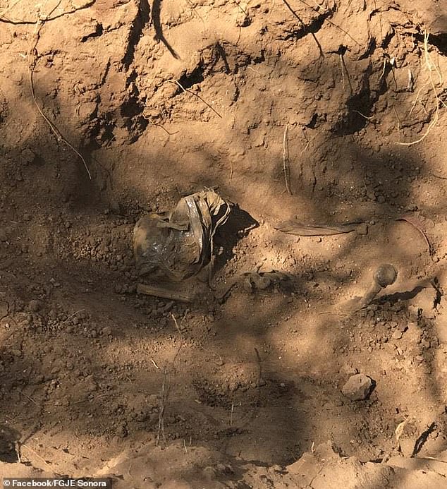 Missing Mexican model is discovered buried in a secret mass grave after being kidnapped by a gang two months ago (photos)