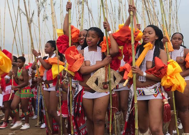 Reason Why Men Of Zulu Don't Get Erection During This Ceremony - Newsblenda