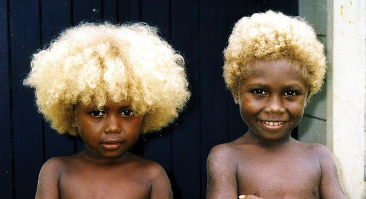 Melanesians Meet The World S Only Natural Black Blondes