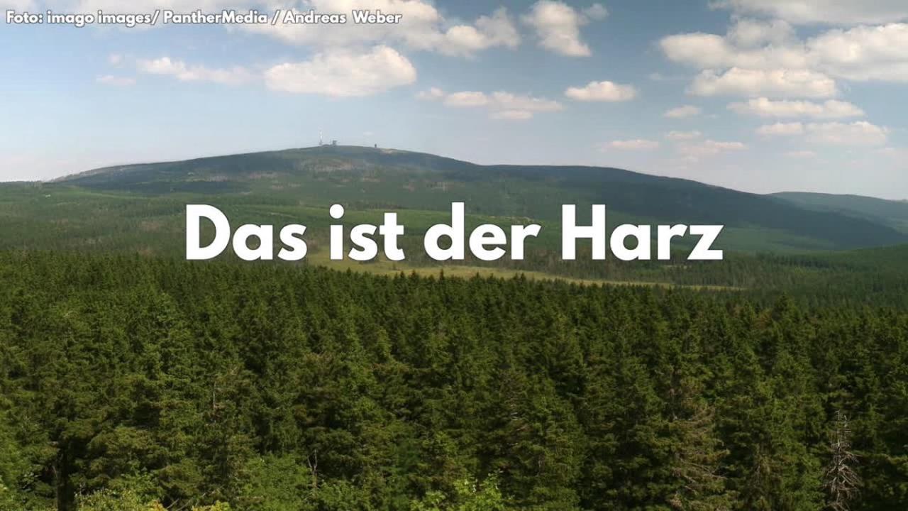 Harz: DDR-Lok wird wieder fit gemacht - diese alte Dame soll bald wieder auf die Schienen