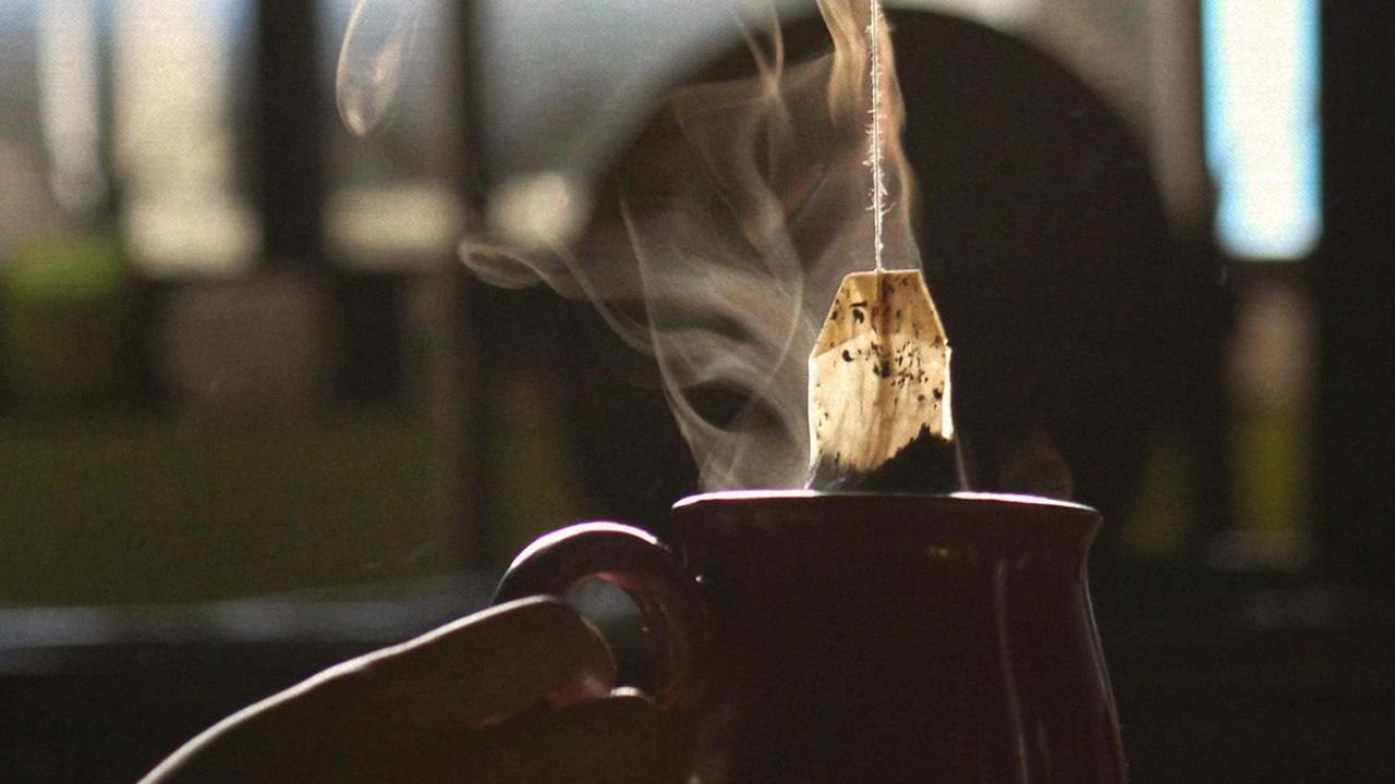 400 Insektenarten: Forschende finden in Teebeuteln mehr als nur Tee