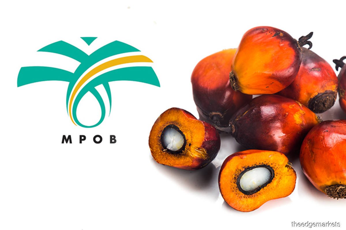 Mpob Expects Cpo Prices To Be Stable At Above Rm4 000 In 3q21 Opera News