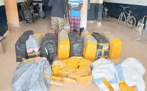 C/R: Two arrested with 519 parcels of suspected indian hemp - Republic ...