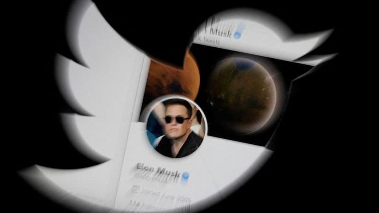 Analyse : Pourquoi Twitter a ignoré le "trolling" d'Elon Musk