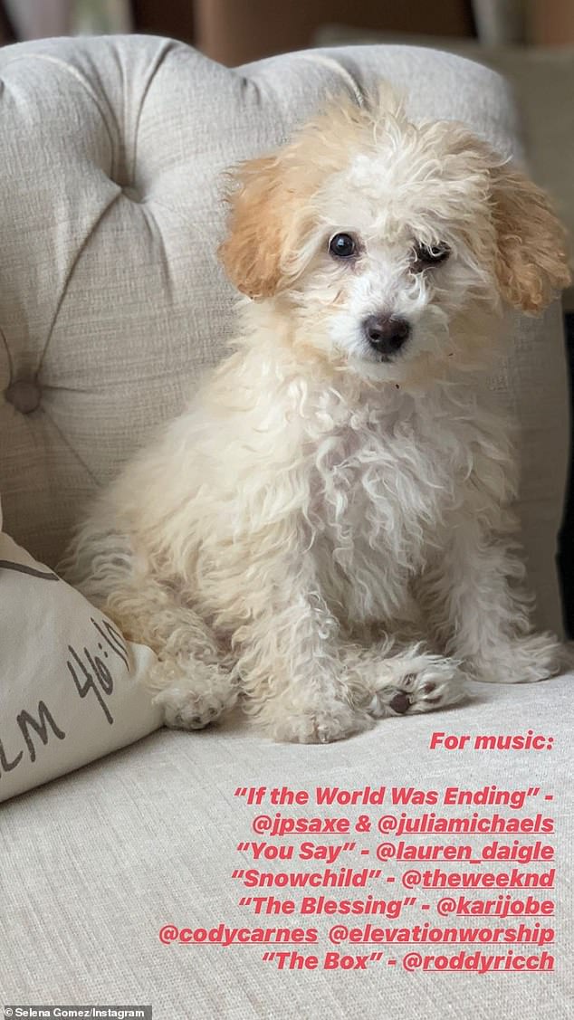 Recommendations: The song was included as part of a larger list Selena shared with fans, detailing the types of media she had been consuming throughout quarantine to 'keep me positive and help pass the time'