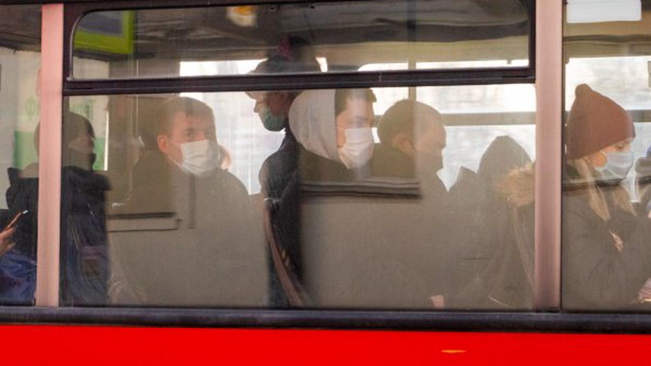 Роспотребнадзор: 20 пермских перевозчиков не соблюдали антиковидные меры в автобусах