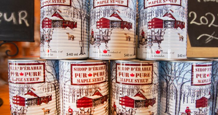 Quebec Maple Syrup Producers Report Average Season After Record 2020 Opera News
