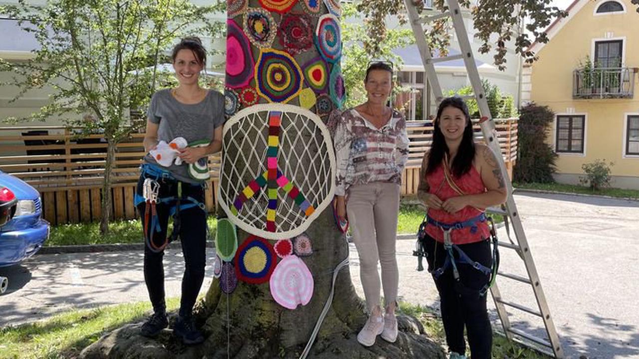 Zeichen des Friedens: In Hartberg erstrahlt ein Baum in kunterbunten Farben