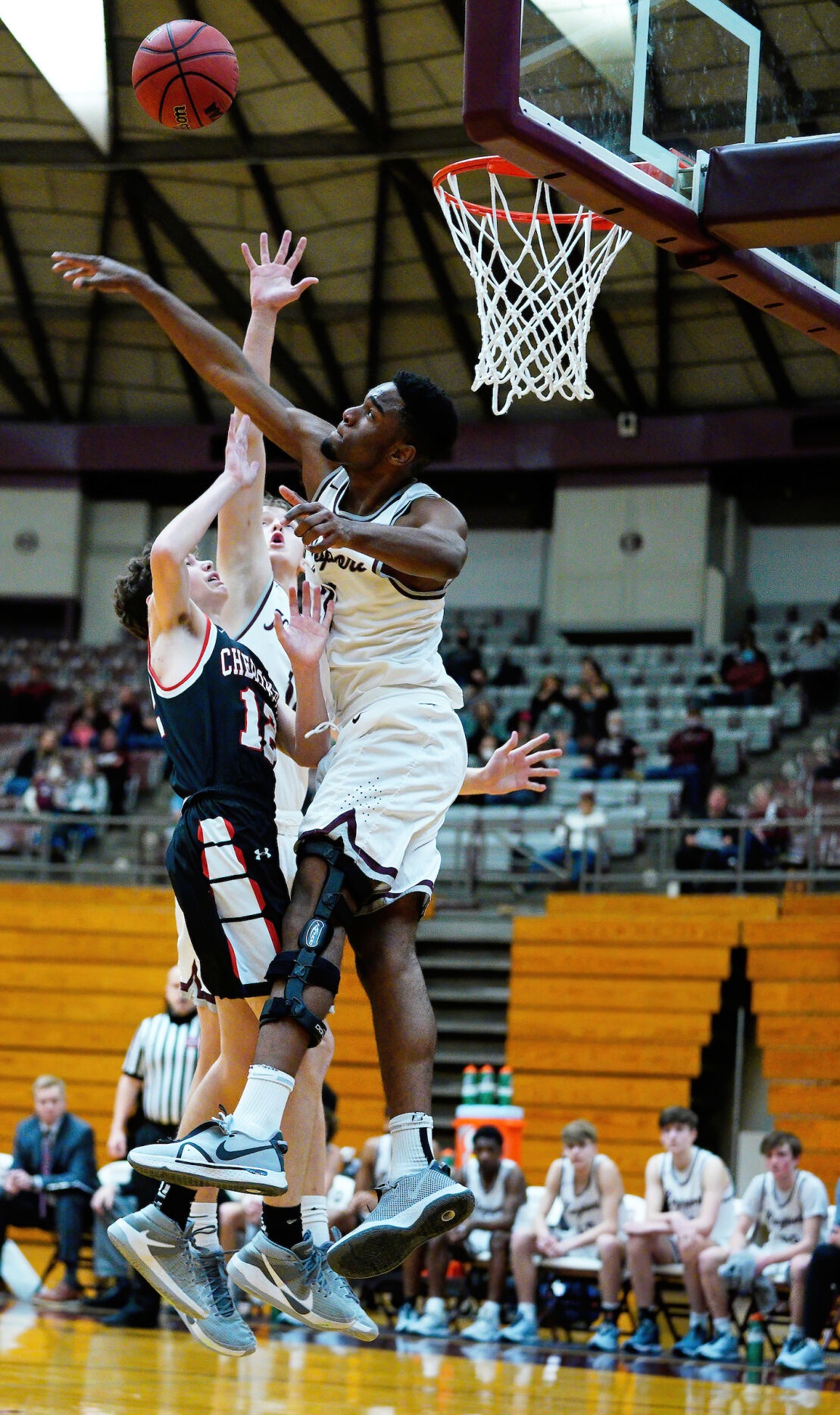 basketball db