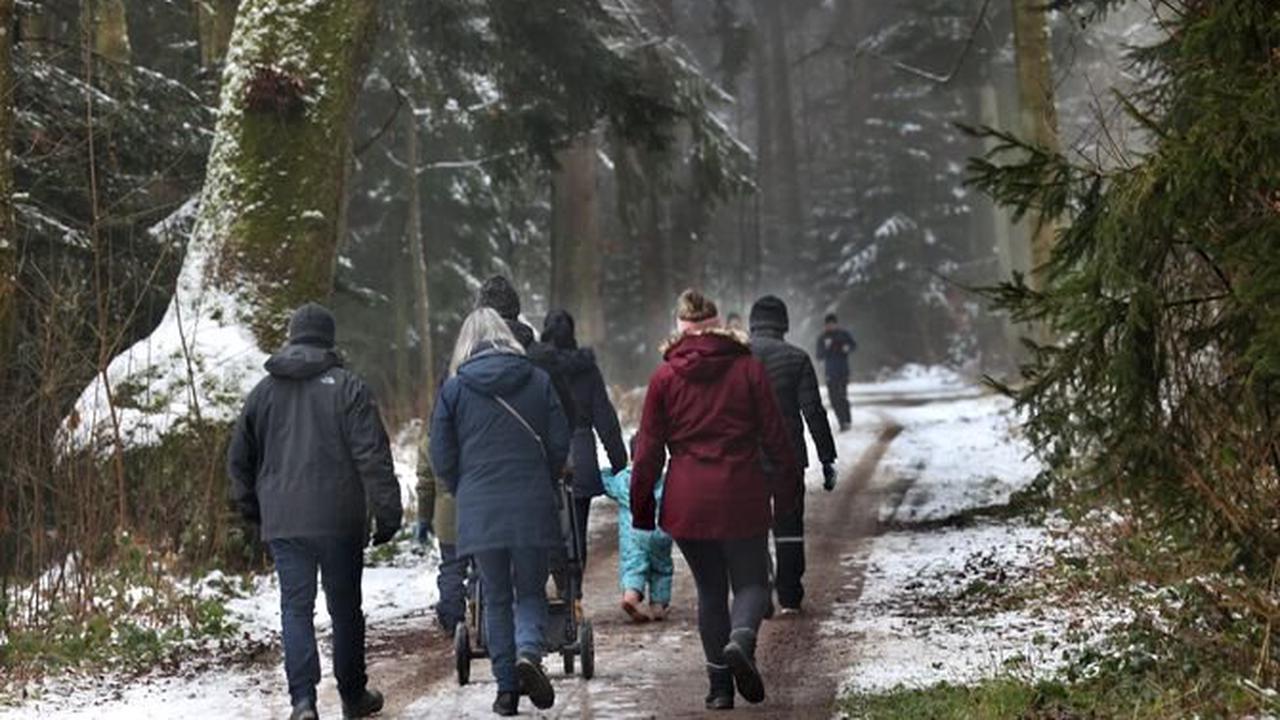 Winterwetter lockt hinaus in den Welzheimer Wald