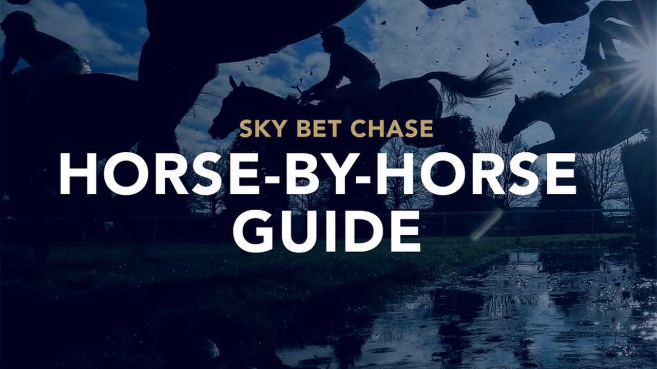 Sky Bet Chase tips: Runner by runner guide to Doncaster feature