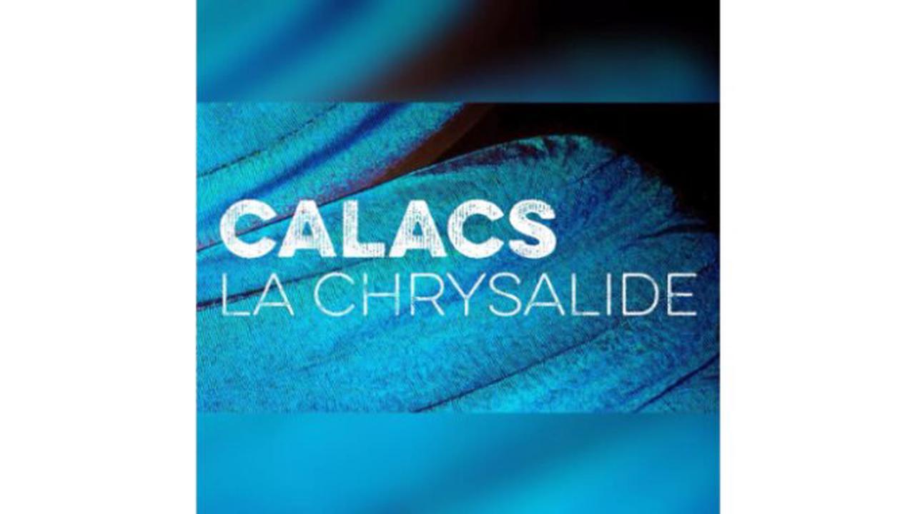 Le CALACS la Chrysalide reçoit une subvention de 221 000 $