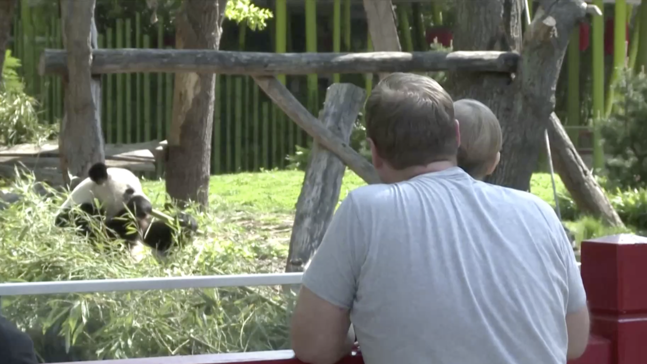 Zoo Duisburg: „Warten hat endlich ein Ende“ – DIESE Tiere können die Besucher jetzt sehen