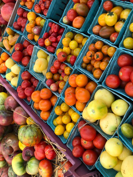 I Say Tomato Opera News