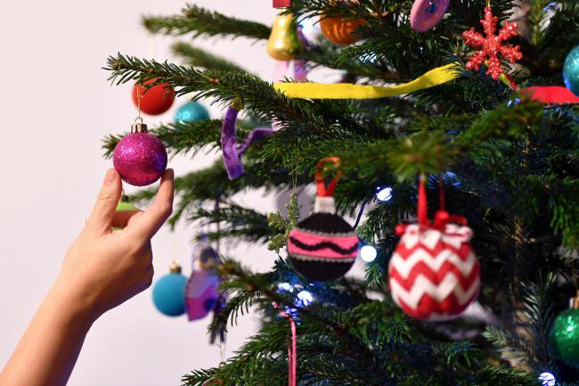 Christmas Tree Recycling St Helens 2022 Christmas Tree Recycling - The Drop Off Points In St Helens - Opera News
