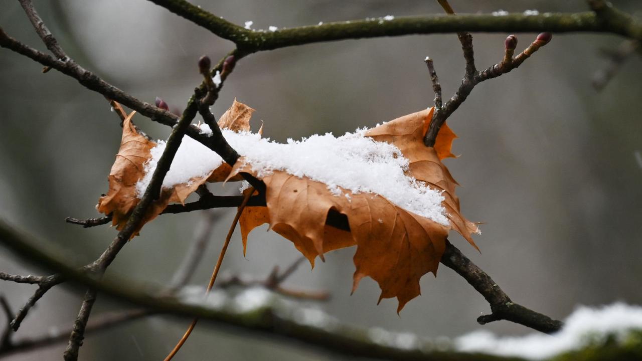 Schneefall in Teilen Deutschlands erwartet