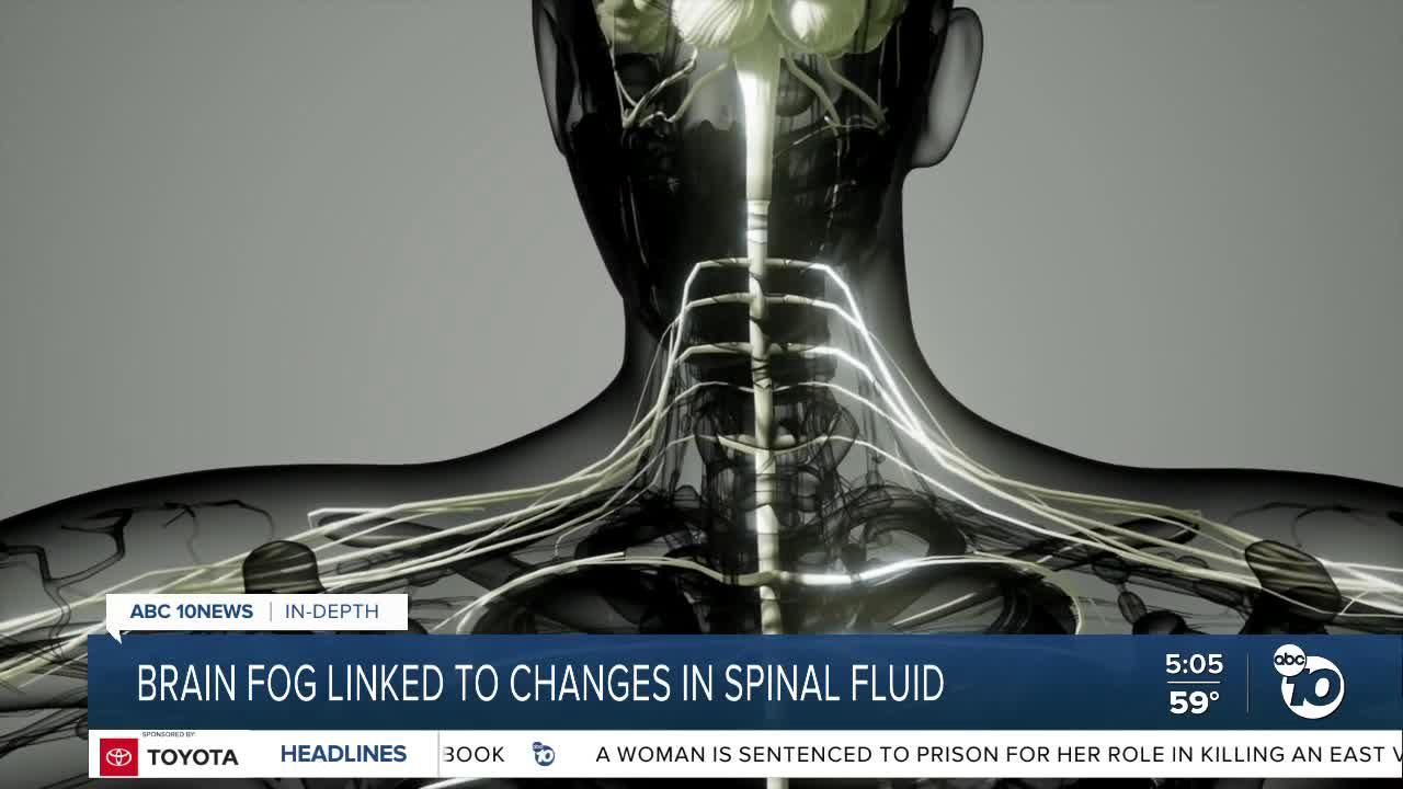 In-Depth: COVID brain fog linked to changes in spinal fluid