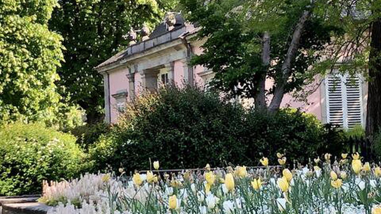 Mai - Teil 1 Blütenpracht im englischen Garten Schloss Benrath