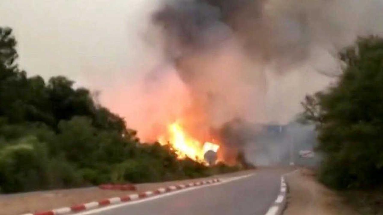 Au moins 38 morts dans les feux de forêt qui ravagent le nord de l’Algérie