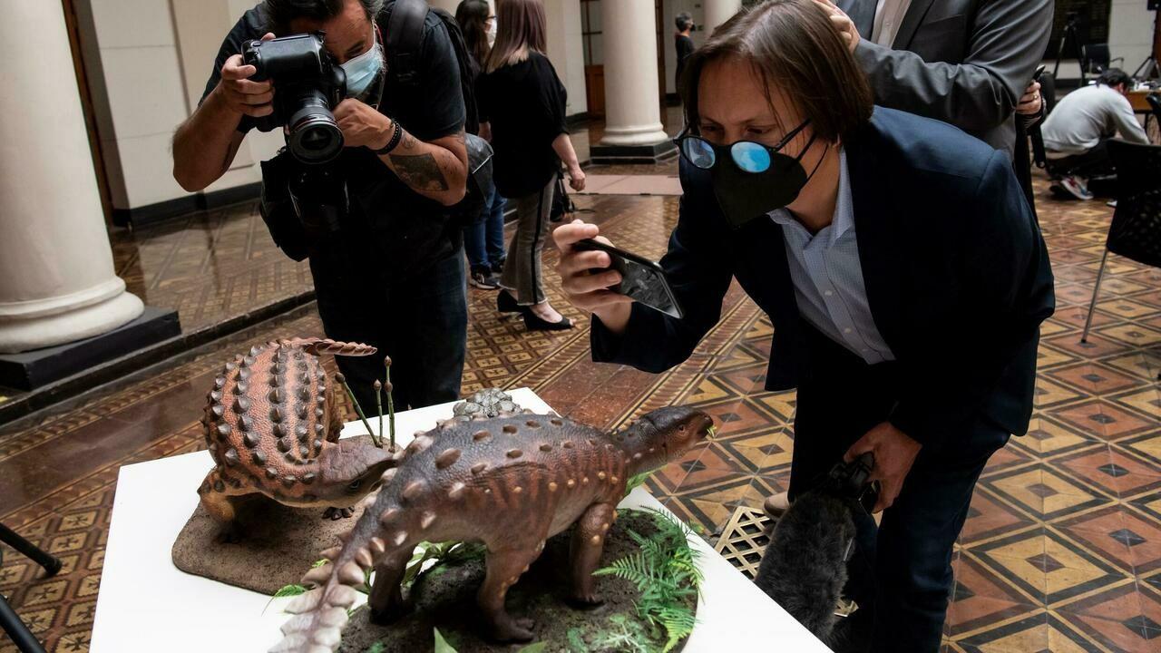 Chili: découverte d'un nouveau dinosaure à la queue inédite