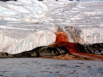 b9bfe2e70b2199ddab2864360fab326e?quality=hq&format=webp&resize=720&watermark=true