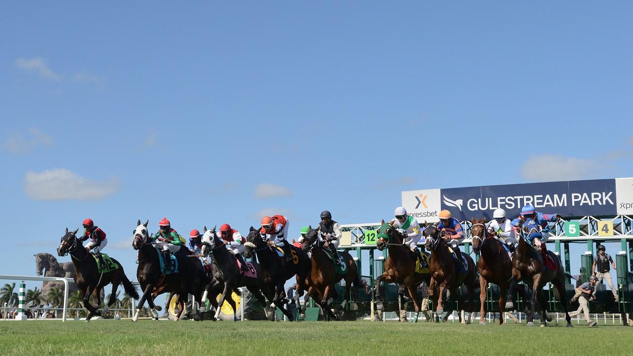 gulfstream park horse racing picks for friday 2 5 21 opera news