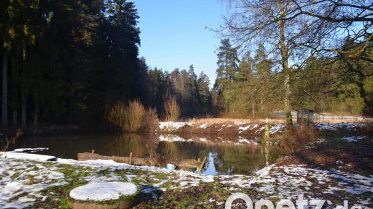 Gemeinde Speichersdorf möchte ihre Gewässer naturnah bewirtschaften