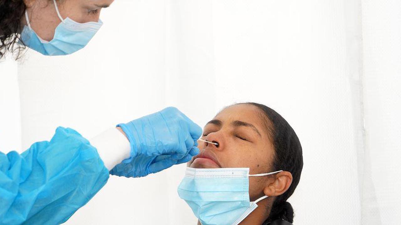 Covid-19 : opticiens, vétérinaires, dentistes… Quelles sont les nouvelles professions autorisées à faire des tests ?
