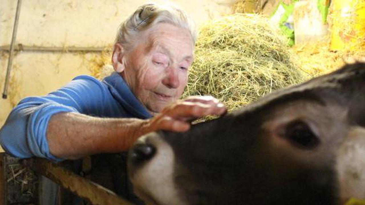 Landwirtschaft: Bergbäuerin steht mit 87 Jahren noch jeden Tag im Stall