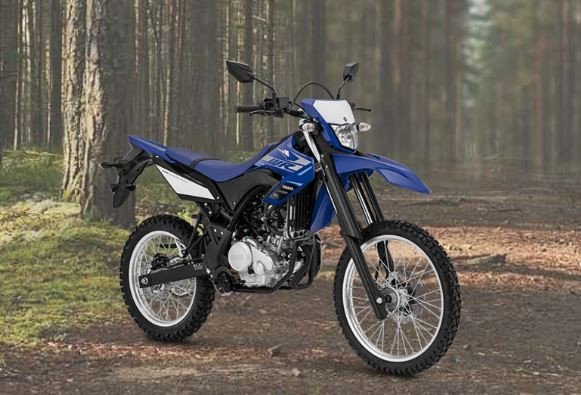 4 Motor Trail Terbaik 2021, Mana Pilihanmu?