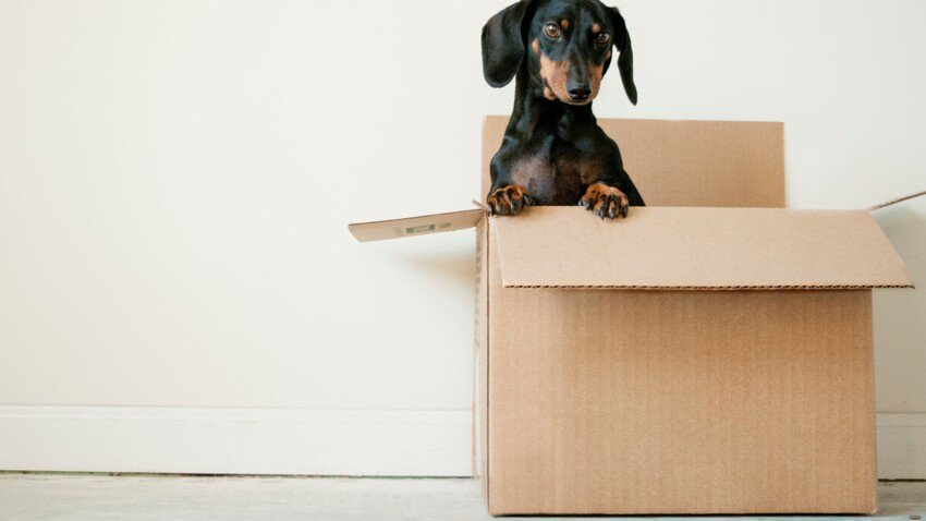 5 Endroits Ou Recuperer Des Cartons De Demenagement Gratuits Opera News