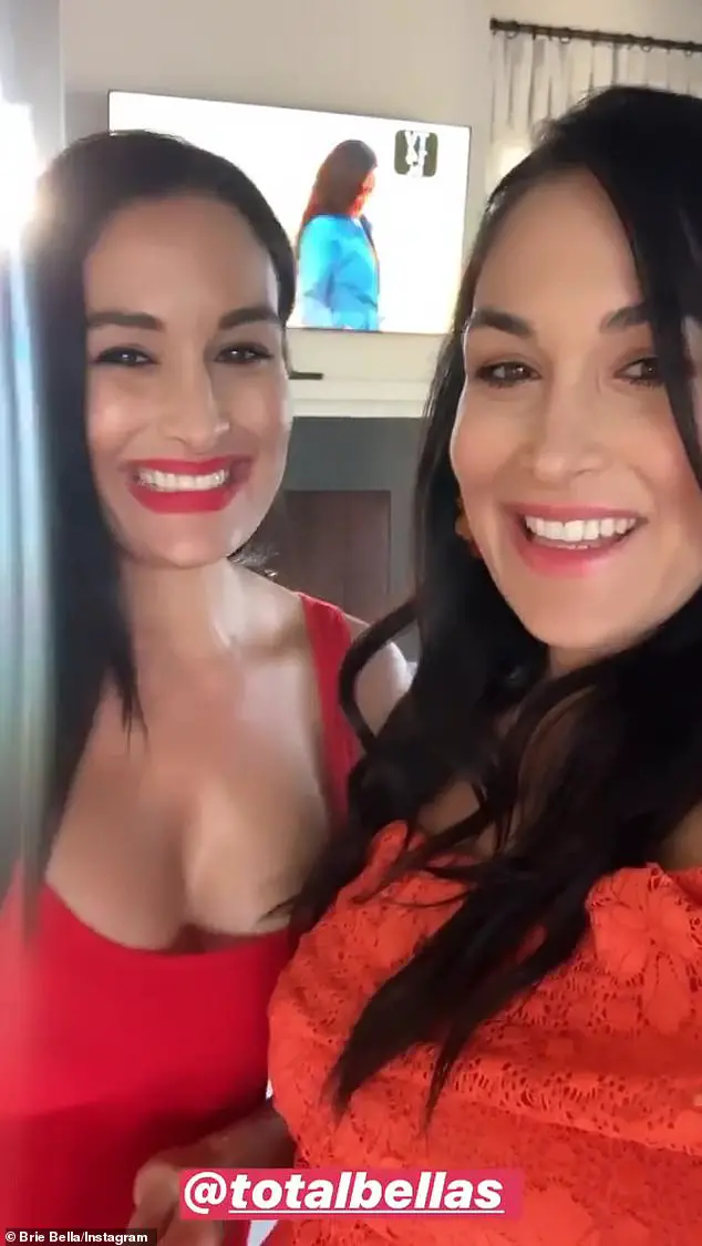 Sister, sister: 'Always together, wrote Brie, who shared a sweet snapshot of herself and Nikki touching their baby bumps to one another's