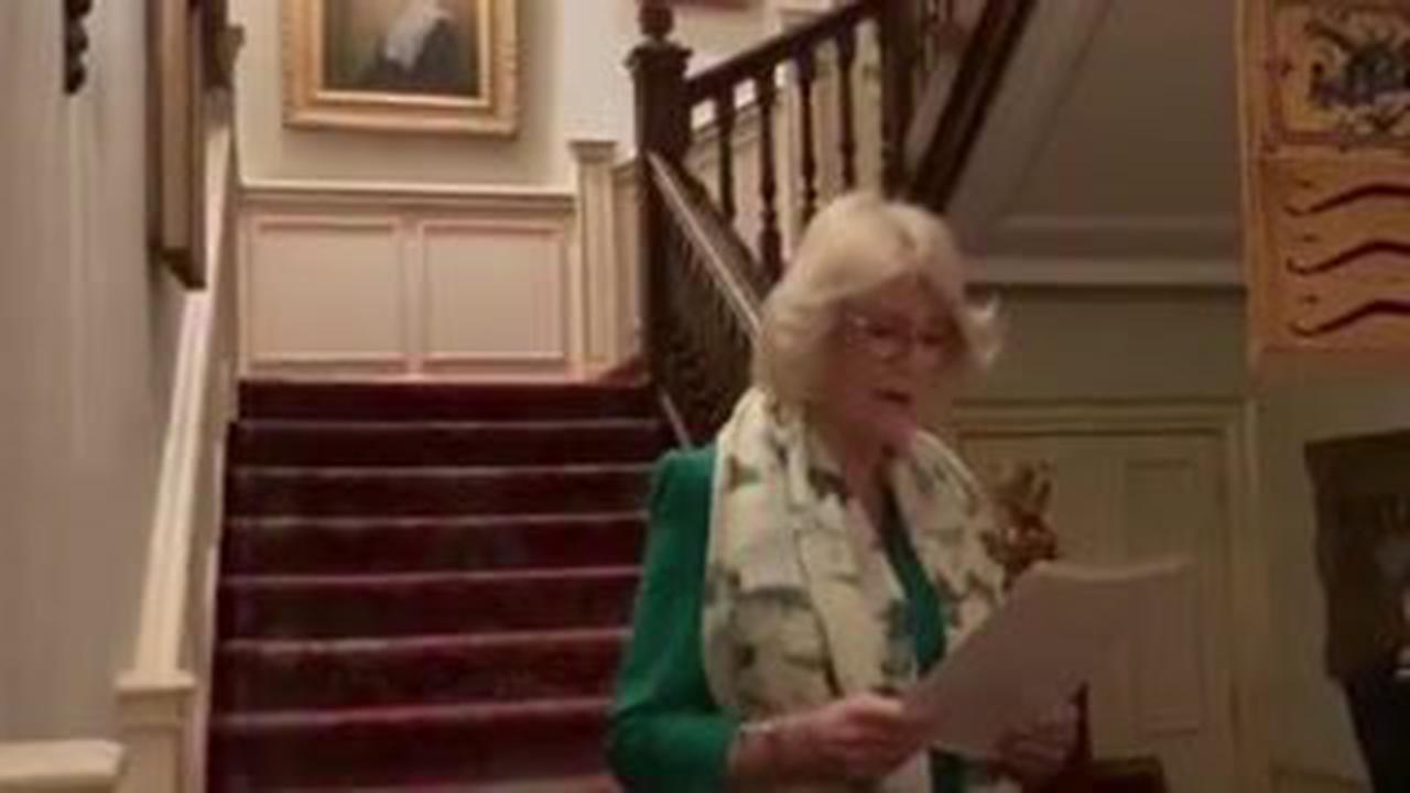 Camilla stuns in £129 dress and scarf at reception in Clarence House - 'love the softness'