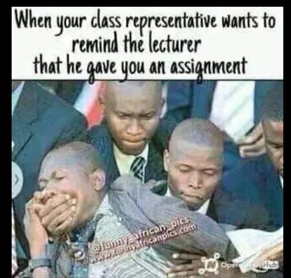 bf809ca47b98a8a5cdcb5a4fcf303729?quality=uhq&format=webp&resize=720&watermark=true