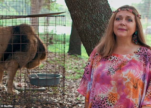 Queen of the cats: Above is the real Carole with one of her beloved cats